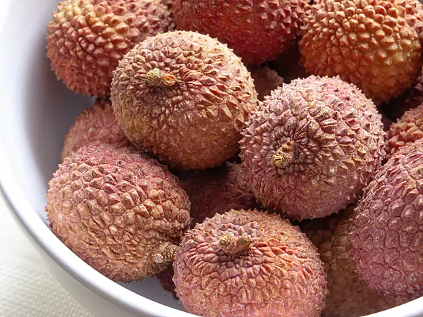 434011 - Lychee (Litchi sinensis)