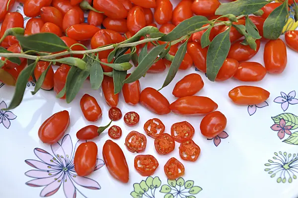 517311 - Lyciet commun (Lycium barbarum 'Sweet Lifeberry')
