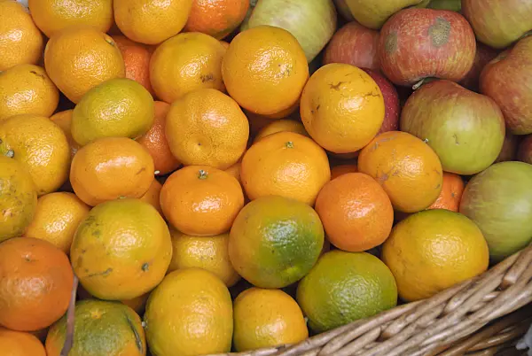 517292 - Mandarin (Citrus reticulata)