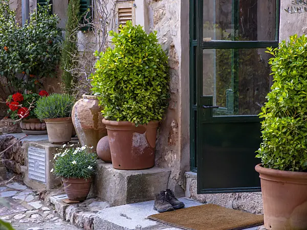 424088 - Mediterrainean house entrance with flower tubs