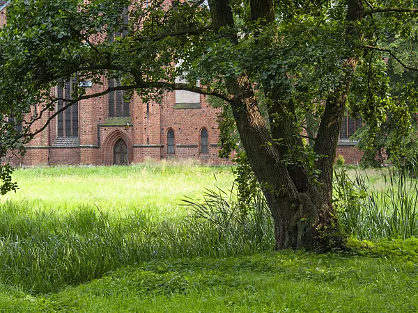 415070 - Monastery garden, Bad Doberan, Germany