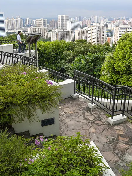 411079 - Mount Faber Park, Singapore