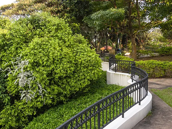 411081 - Mount Faber Park, Singapore