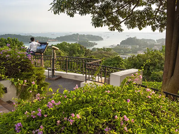 411083 - Mount Faber Park, Singapore