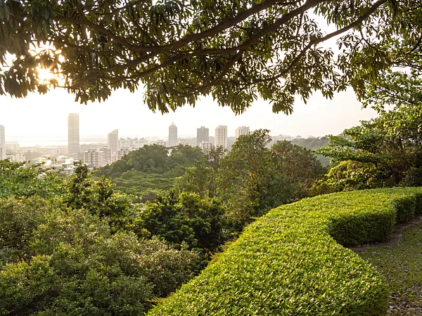 411084 - Mount Faber Park, Singapore