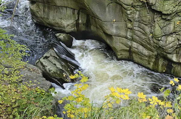 501220 - Mountain brook with granite rocks, Bode Valley Nature Reserve, Germany