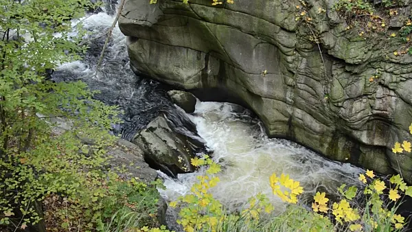 501230 - Mountain brook with granite rocks, Bode Valley Nature Reserve, Germany