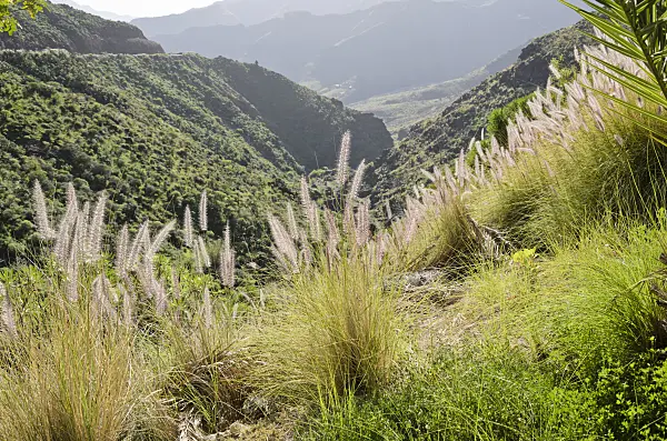 564086 - Mountain landscape, Gran Canaria, Spain