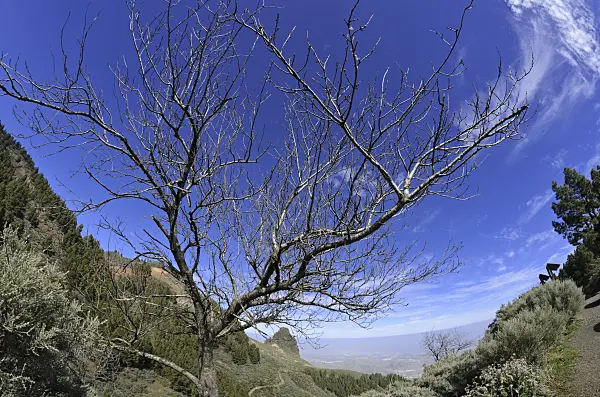 564175 - Mountain landscape, Gran Canaria, Spain