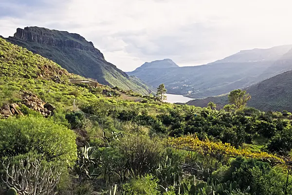397036 - Mountain scenery near Ayagaures, Pilancones Nature Reserve, Gran Canaria, Spain