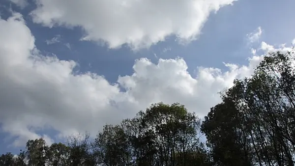 500086 - Moving clouds