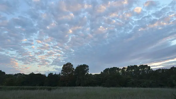500098 - Moving clouds, Karower Teiche Nature Reserve, Berlin, Germany