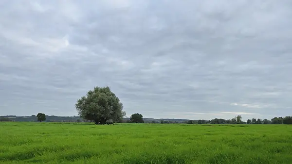 500100 - Moving clouds, Lower Oder Valley National Park, Germany