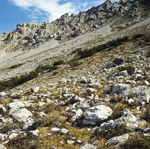 249030 - Murtaröl, Swiss National Park, Switzerland