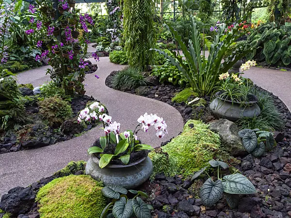 434227 - National Orchid Garden, Singapore