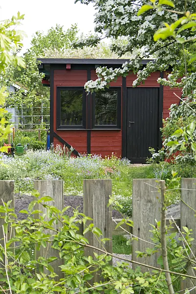 532003 - Natural garden with garden house and wooden fence