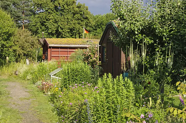 473291 - Natural gardens with garden houses