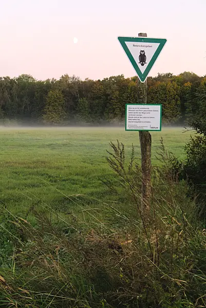 670024 - Naturschutzgebiet im Spandauer Forst, Berlin, Deutschland