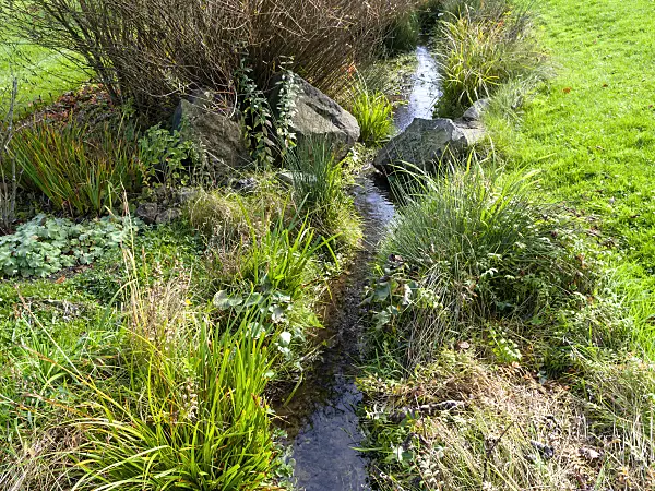 465168 - Near-natural brook in a garden