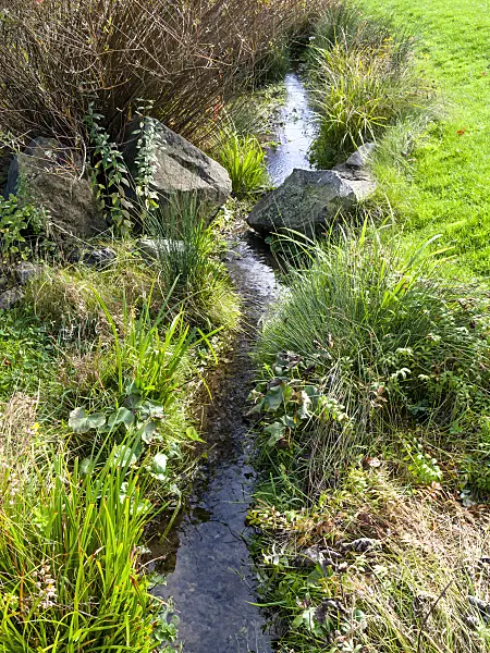 465169 - Near-natural brook in a garden