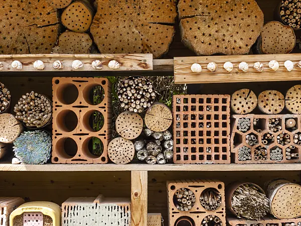 439202 - Nesting aid for bees and other insects with perforated bricks, tree trunks and branches in a wooden rack