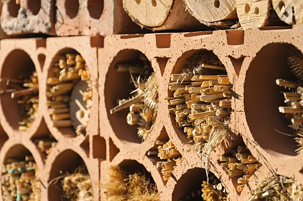 488120 - Nesting aid for insects made of large-hole bricks, filled with hollow stalks of plants