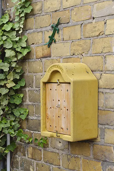 473253 - Nesting aid for insects on a wall