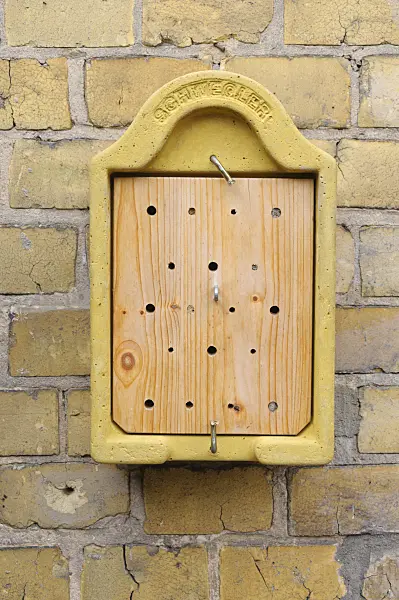 473254 - Nesting aid for insects on a wall