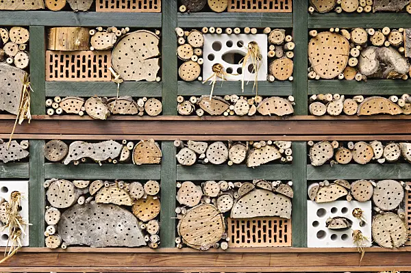 473185 - Nesting aid for insects with perforated and straw-filled bricks, branches and trunks in a wooden grid