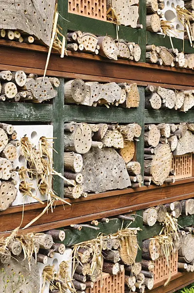 473186 - Nesting aid for insects with perforated and straw-filled bricks, branches and trunks in a wooden grid