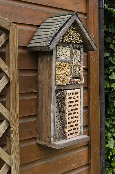 521084 - Nesting aid for insects with perforated bricks, branches and straw on a wooden wall