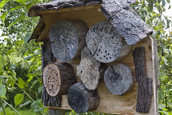 511334 - Nesting aid for insects with perforated tree trunks under a bark roof