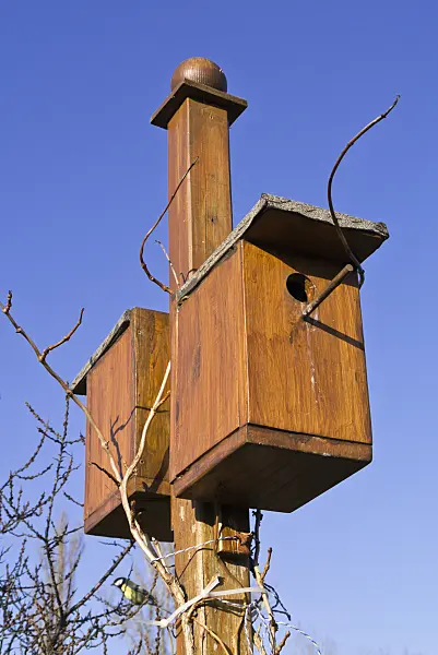 541005 - Nesting boxes on a high wooden pole in front of a blue sky