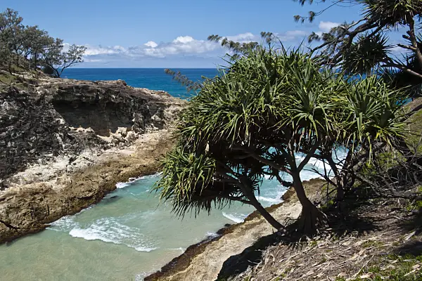 455093 - North Gorge, Point Lookout, North Stradbroke Island, Australia