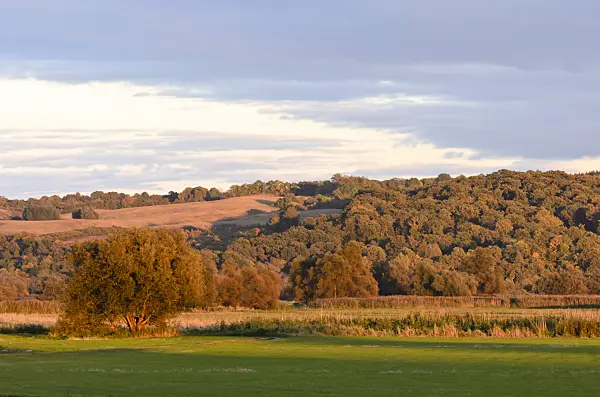 524213 - Oder hills int the evening, Lower Oder Valley National Park, Germany