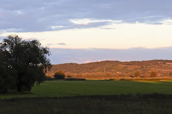 524214 - Oder hills int the evening, Lower Oder Valley National Park, Germany