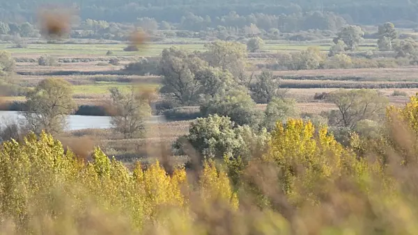 501135 - Oder River Valley between Gartz and Mescherin,Lower Oder Valley National Park, Germany