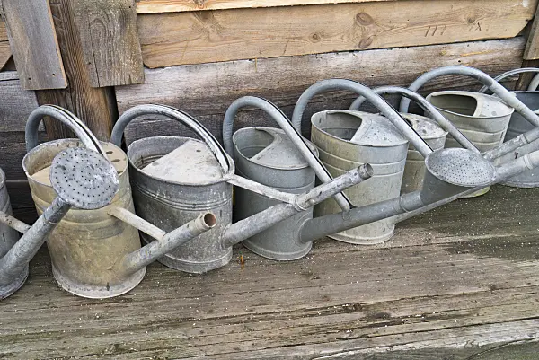 528003 - Old metal watering cans on an old wooden rack