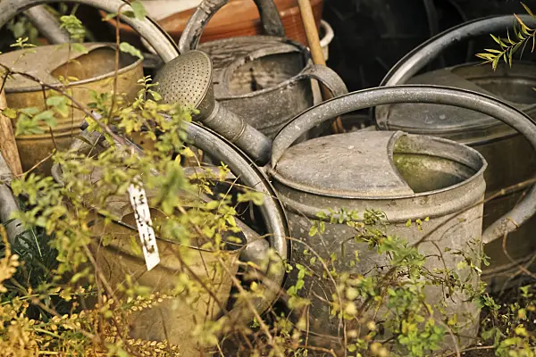 436137 - Old watering cans made of sheet metal