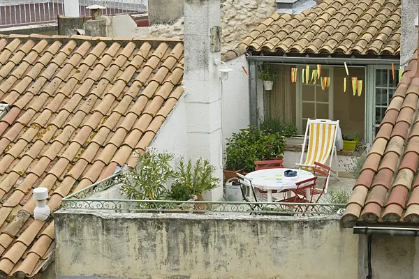 557112 - Oleander (Nerium oleander) and lavenders (Lavandula) in a roof terrace, Arles, France
