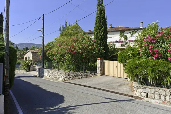 569111 - Oleander (Nerium oleander) and wisteria (Wisteria) in front of a residential building, Mandelieu, France