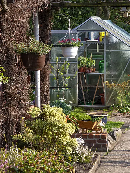 459072 - Open greenhouse with pots and watering cans on a wooden table in an allotment garden