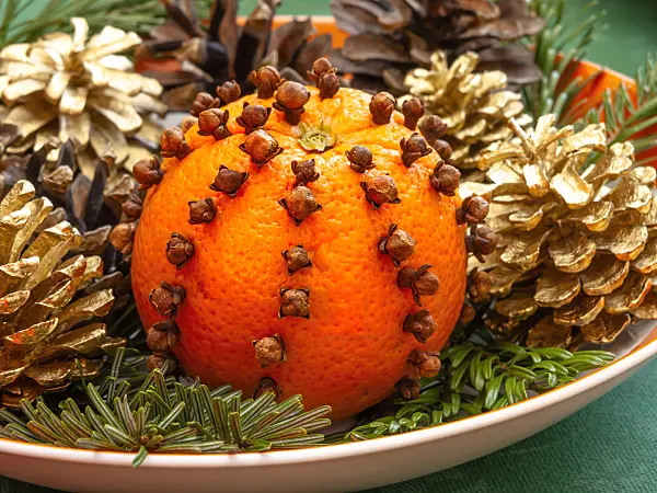 444101 - Orange (Citrus sinensis) and clove (Syzygium aromaticum)