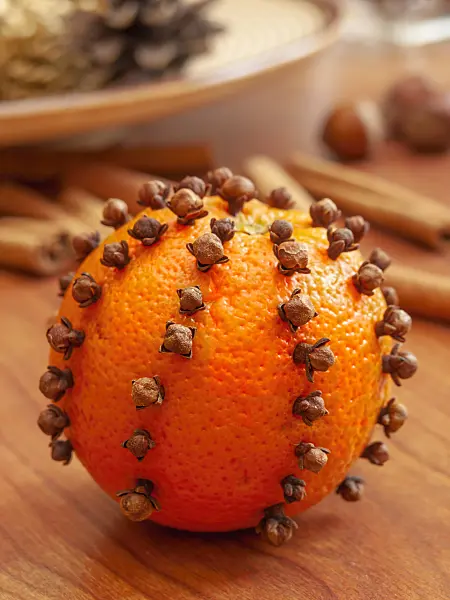 444104 - Orange (Citrus sinensis) and clove (Syzygium aromaticum)