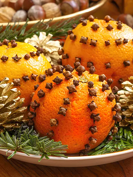 444105 - Orange (Citrus sinensis) and clove (Syzygium aromaticum)