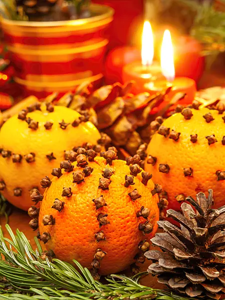 444120 - Orange (Citrus sinensis) and clove (Syzygium aromaticum)
