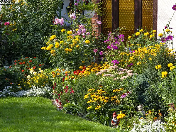 441011 - Orange cone flowers (Rudbeckia fulgida), marigolds (Tagetes), phlox (Phlox) and roses (Rosa)