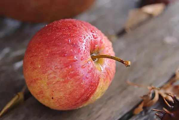 517006 - Orchard apple (Malus x domestica) on a wooden table