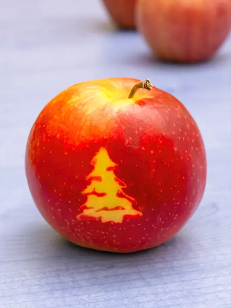 444091 - Orchard apple (Malus x domestica) with Christmas tree