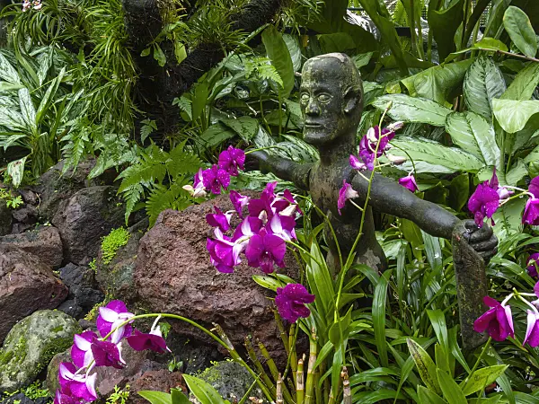 411190 - Orchid garden with sculpture, National Orchid Garden, Singapore
